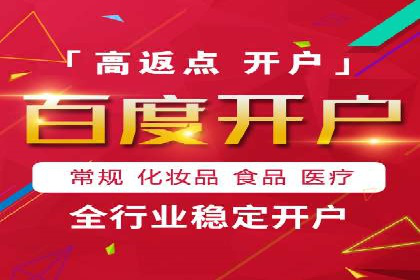 网络推广秘籍：竞价排名成功案例集锦